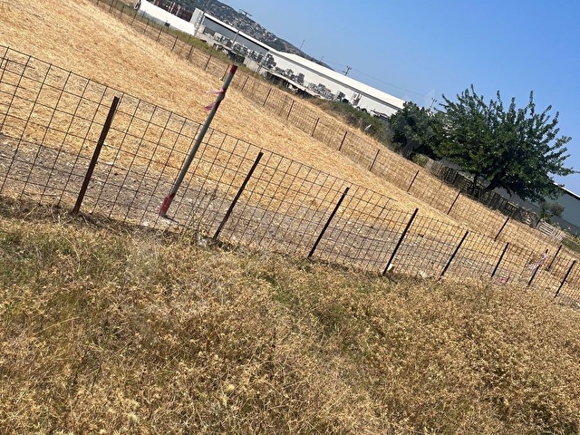 Yeni Foça Sahile 450m Sahibinden Yatırımlık Fırsat Tarla - Görsel 8