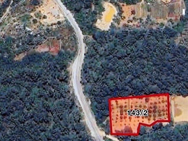 MUĞLA MENTEŞE KUYUCAK MAH.DE 4.848 M2.CEVİZ TARLASI SATILIK