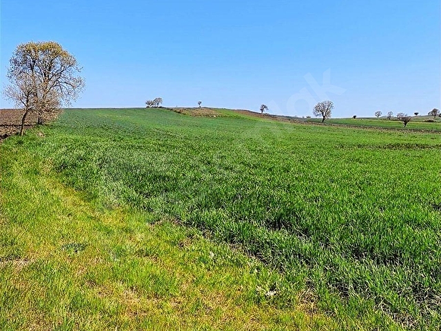 ŞAHLAN EMLAKTAN 17500M2 SULAMADA SATILIK ARAZİ - Görsel 3