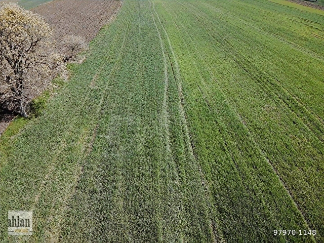 ŞAHLAN EMLAKTAN 17500M2 SULAMADA SATILIK ARAZİ - Görsel 26
