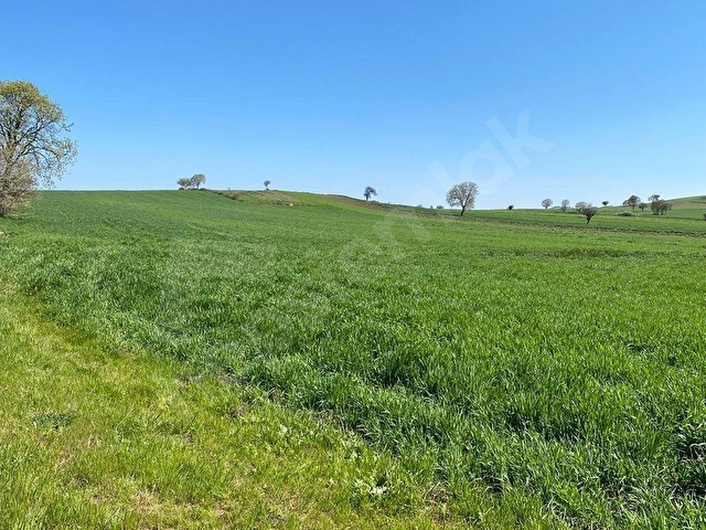 ŞAHLAN EMLAKTAN 17500M2 SULAMADA SATILIK ARAZİ - Görsel 27