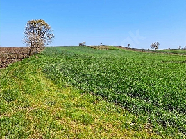 ŞAHLAN EMLAKTAN 17500M2 SULAMADA SATILIK ARAZİ - Görsel 11
