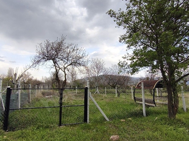 Reşadiye Mahallesinde satılık 200 m2 bahçe - Görsel 4