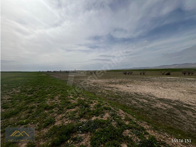 SİVRİHİSAR KINIK MAHALLESİ SATILIK 117.400 M2 SATILIK ARAZİ - Görsel 6