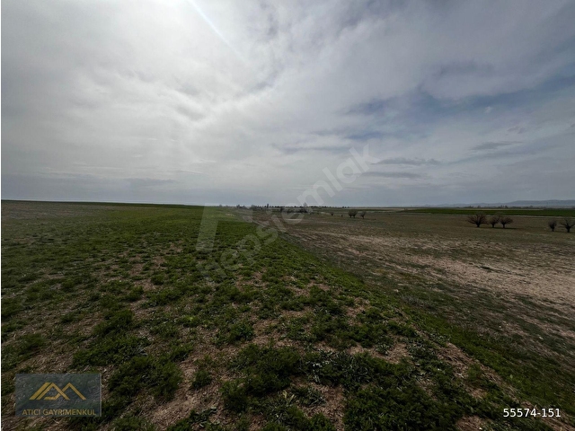 SİVRİHİSAR KINIK MAHALLESİ SATILIK 117.400 M2 SATILIK ARAZİ - Görsel 2