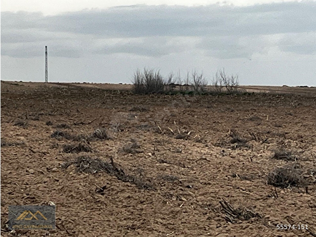 SİVRİHİSAR KINIK MAHALLESİ SATILIK 117.400 M2 SATILIK ARAZİ - Görsel 12