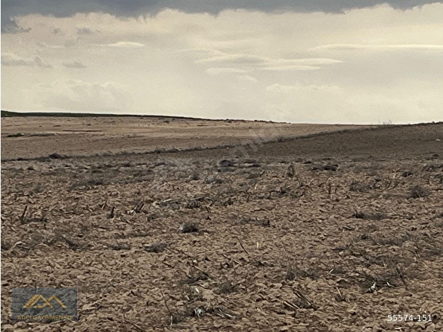 SİVRİHİSAR KINIK MAHALLESİ SATILIK 117.400 M2 SATILIK ARAZİ - Görsel 8