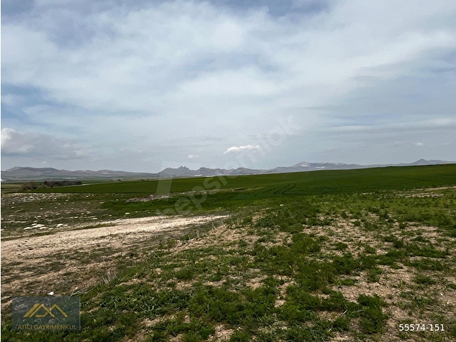 SİVRİHİSAR KINIK MAHALLESİ SATILIK 117.400 M2 SATILIK ARAZİ - Görsel 4