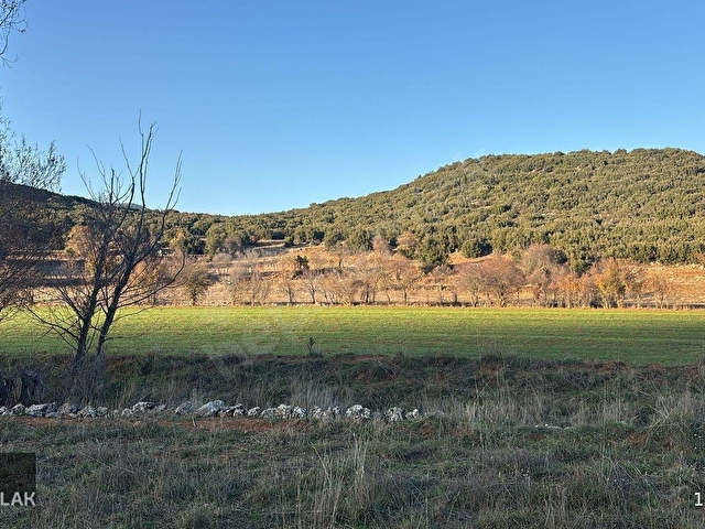 ASYA EVİM EMLAKTAN AĞLASUN/ÇANAKLI KÖYÜNDE SATILIK FIRSAT TARLA - Görsel 5