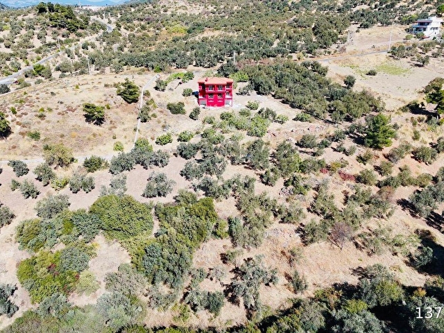 BYZ GRUP DUTLUCA KÖYÜNDE SATILIK 1.759 M2 ZEYTİNLİK - Görsel 9