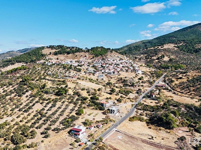 BYZ GRUP DUTLUCA KÖYÜNDE SATILIK 1.759 M2 ZEYTİNLİK - Görsel 21