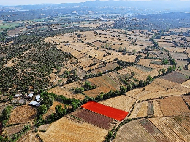 ÇANAKKALE BİGA ÇELİKGÜRÜ MÜSTAKİL SATILIK TARLA - Görsel 27