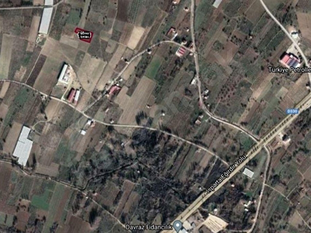 ISPARTA MERKEZ BÜYÜKGÖKÇELİ Satılık Bademlik - Görsel 6