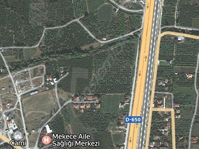 SAKARYA/PAMUKOVA/MEKECE SATILIK AYVA BAHÇESİ