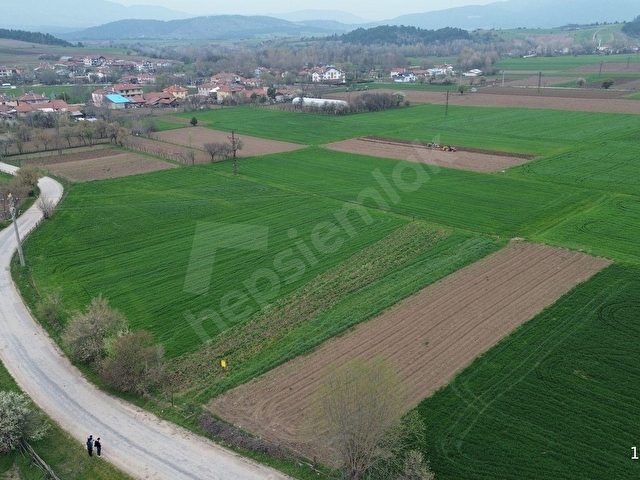 BOLUDA ASFALT YOLA CEPHE, KÖYE 250 METRE UZAKLIKTA ARAZİ