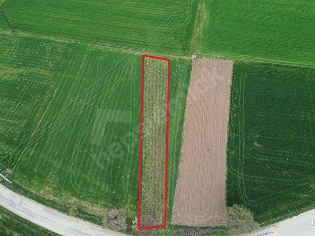 BOLUDA ASFALT YOLA CEPHE, KÖYE 250 METRE UZAKLIKTA ARAZİ - Görsel 3