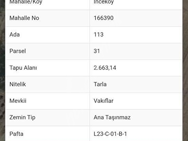 ÖZEN EMLAK TAN SATILIK TARLA - Görsel 8