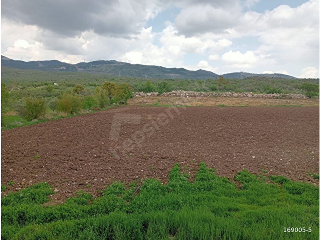 ACİL KÖY KENARI HAYVANCILIK ve TARIM İÇİN UYGUN 9250 m2 - Görsel 11