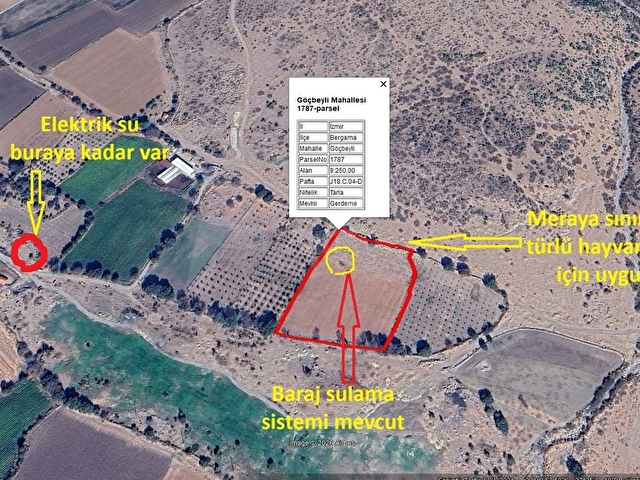 ACİL KÖY KENARI HAYVANCILIK ve TARIM İÇİN UYGUN 9250 m2 - Görsel 12