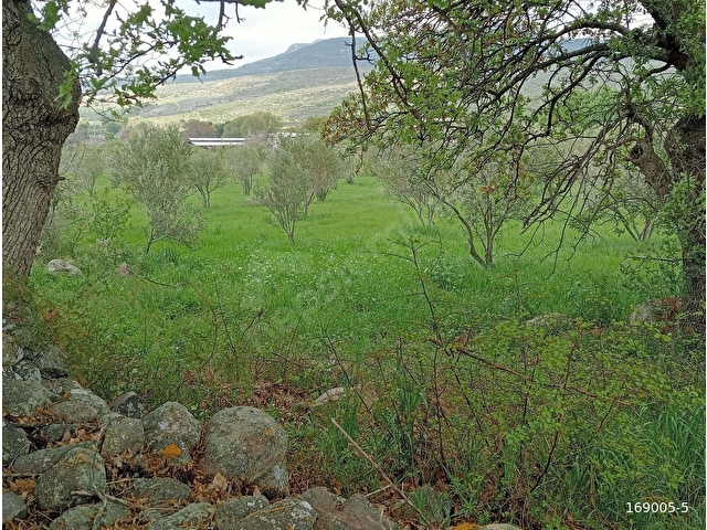 ACİL KÖY KENARI HAYVANCILIK ve TARIM İÇİN UYGUN 9250 m2 - Görsel 7