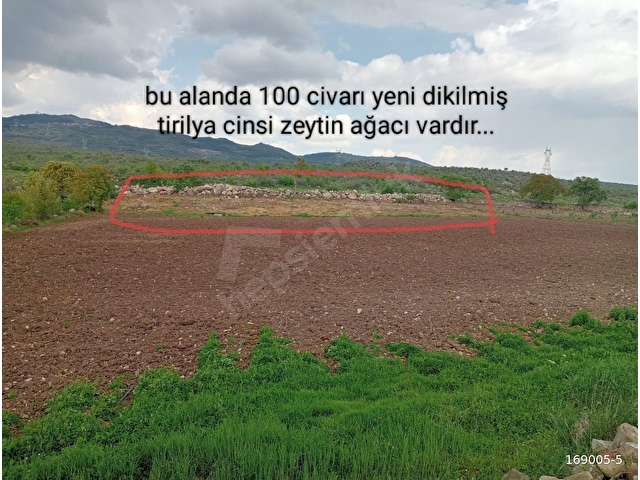 ACİL KÖY KENARI HAYVANCILIK ve TARIM İÇİN UYGUN 9250 m2 - Görsel 4