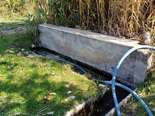 SOMA YAĞCILLI MAHALLESİ SATILIK ZEYTİNLİK PAZARLIK VARDIR - Görsel 9