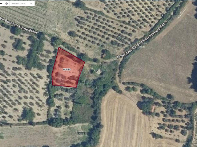SOMA YAĞCILLI MAHALLESİ SATILIK ZEYTİNLİK PAZARLIK VARDIR - Görsel 8
