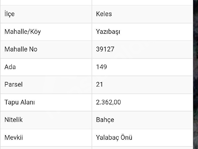 SAHİBİNDEN  SATILIK KİRAZ BAHÇESİ