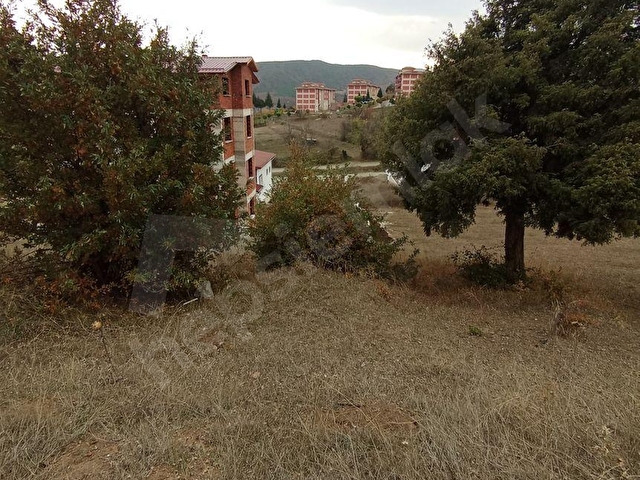 TOKAT ALMUS’TA İMARLI ARSA - Görsel 3
