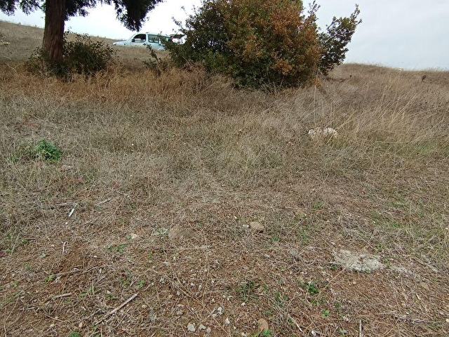 TOKAT ALMUS’TA İMARLI ARSA - Görsel 6