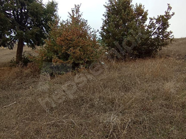 TOKAT ALMUS’TA İMARLI ARSA - Görsel 7