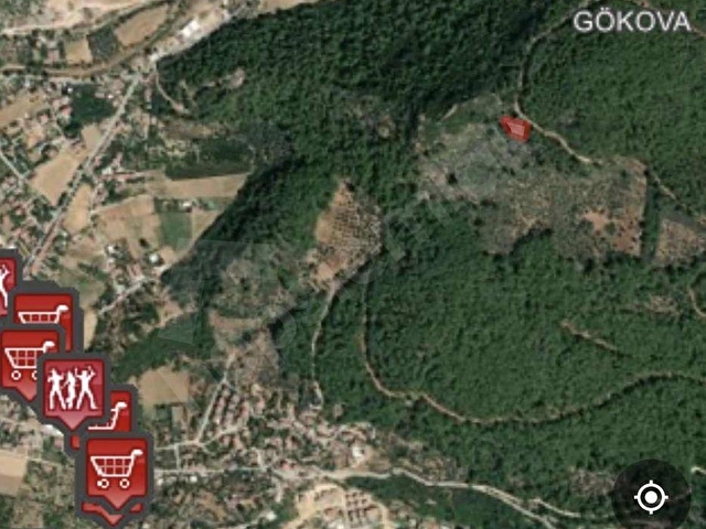 Muğla Ula da gökova mah. 622 m2 satılık zeytinlik arsa - Görsel 5