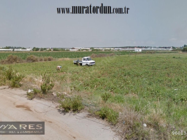 Altinova Antalyada Satilik Arsa 3500 M2 Isyeri Imarli 3 96013 857 Hurriyet Emlak
