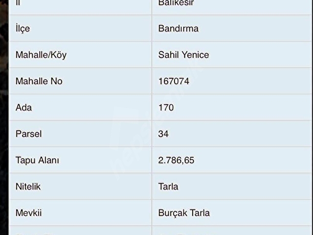 YÖN GAYRİMENKULDEN SAHİL YENİCEDE SATILIK TARLA