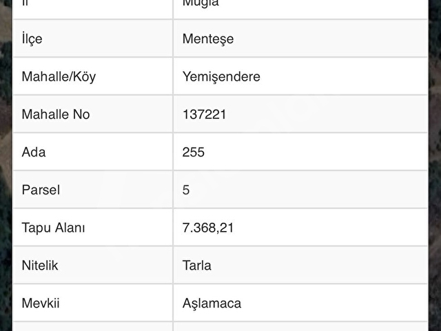 Muğla Yemişendere Mahallesinde satılık tarla