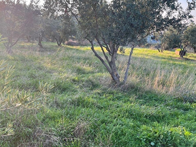 PAZARLIKLI, AVŞAR MAHDE 322 m2, ÜÇ KAT İMARLI, ÜÇ TARAFI BAHÇELİ, GENİŞ CADDE ÜZERİNDE SATILIK ARSA - Görsel 13