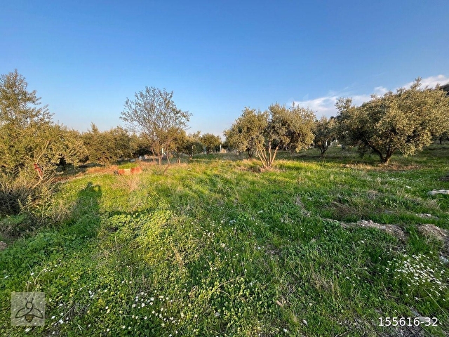 PAZARLIKLI, AVŞAR MAHDE 322 m2, ÜÇ KAT İMARLI, ÜÇ TARAFI BAHÇELİ, GENİŞ CADDE ÜZERİNDE SATILIK ARSA - Görsel 19
