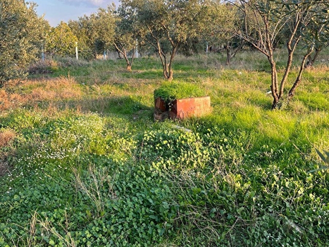 PAZARLIKLI, AVŞAR MAHDE 322 m2, ÜÇ KAT İMARLI, ÜÇ TARAFI BAHÇELİ, GENİŞ CADDE ÜZERİNDE SATILIK ARSA - Görsel 23