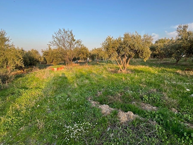 PAZARLIKLI, AVŞAR MAHDE 322 m2, ÜÇ KAT İMARLI, ÜÇ TARAFI BAHÇELİ, GENİŞ CADDE ÜZERİNDE SATILIK ARSA - Görsel 27