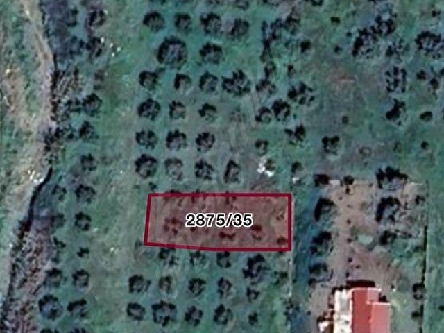 PAZARLIKLI, AVŞAR MAHDE 322 m2, ÜÇ KAT İMARLI, ÜÇ TARAFI BAHÇELİ, GENİŞ CADDE ÜZERİNDE SATILIK ARSA - Görsel 3