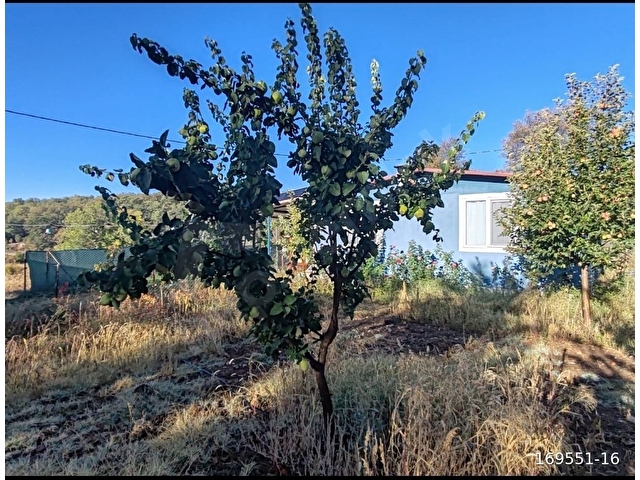 FETHİYE SEYDİKEMERDE DOĞA İLE İÇ İÇE EVİ OLAN TARLA - Görsel 6