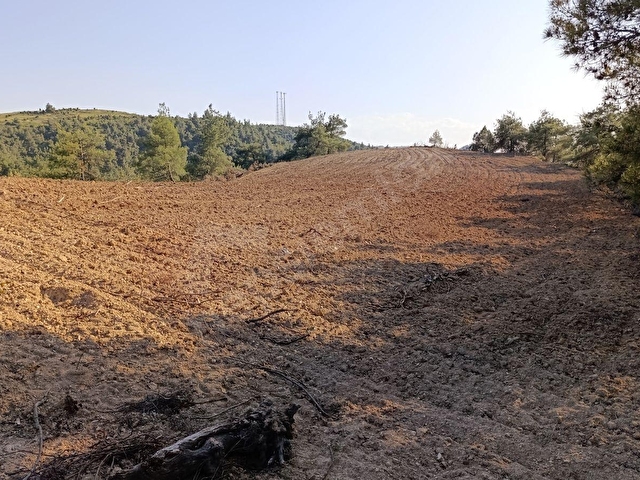Bilecik Söğüt Kürede Kartal Yuvası Tadında Manzara - Görsel 7