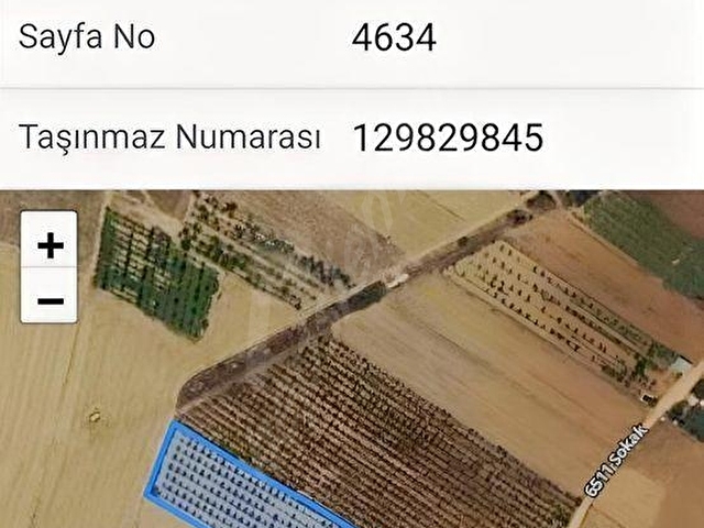 YAZIRDA KURULU DÜZEN 8.188m² YATIRIMLIK ARMUT BAHÇESİ - Görsel 13