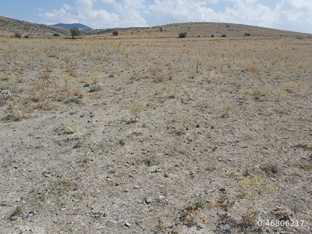 KONYA, EMİRGAZİ, YAMAÇ MAHALLESİ SATILIK TARLA 20.000M2 - Görsel 9