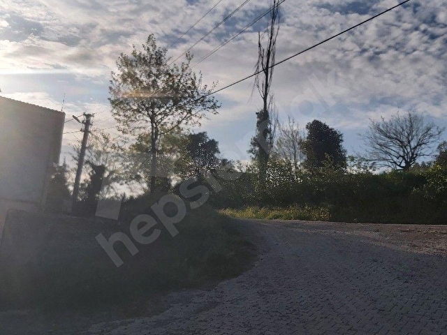AKÇAT KÖYÜ SATILIK RESMİ YOLU OLAN TARLA - Görsel 11