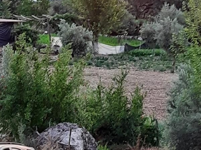 Tlos yakada satılık imarli tarla - Görsel 4