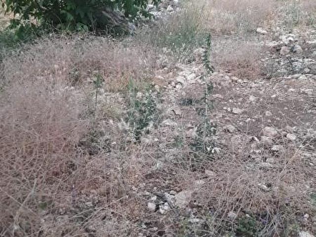 Tlos yakada satılık imarli tarla - Görsel 25