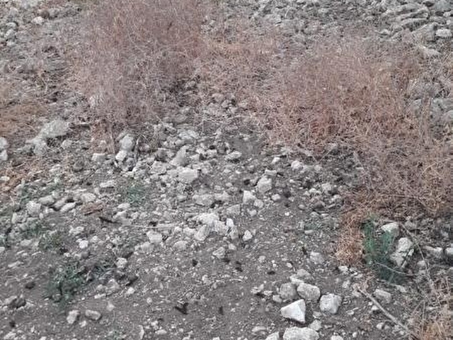 Tlos yakada satılık imarli tarla - Görsel 22