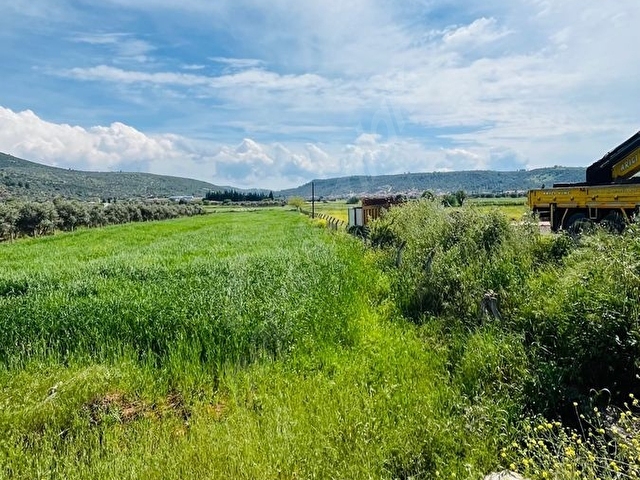 BEYAZ YUVA GAYRİMENKULDEN Milas Mutluca Mahallesi’nde 2.945 m² Satılık Tarla - Görsel 4