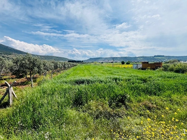 BEYAZ YUVA GAYRİMENKULDEN Milas Mutluca Mahallesi’nde 2.945 m² Satılık Tarla - Görsel 12